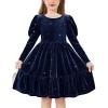 Arshiner Toddler Velvet Dress Girls Puff Long Sleeves Crew Neck Party Fall Winter Ruffle Dresses with Pockets 2-8Y(Sequins Blue)