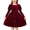 Arshiner Toddler Velvet Dress Girls Puff Long Sleeves Crew Neck Party Fall Winter Ruffle Dresses with Pockets 2-8Y(Sequins Burgundy)