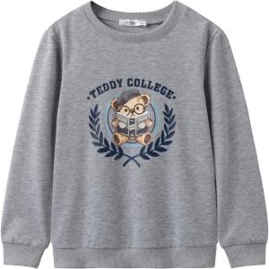 Arshiner Toddler Boy Crewneck Sweatshirt Long Sleeve Pullover Graphic Shirts for Kid Fall Tops Tees 2-10 Years(Gray Teddy Bear)