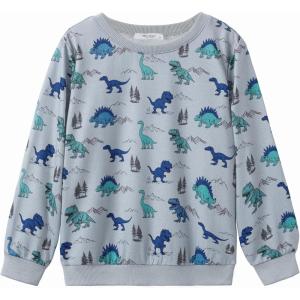 Arshiner Toddler Boy Crewneck Sweatshirt Long Sleeve Pullover Graphic Shirts for Kid Fall Tops Tees 2-10 Years(Grey Dinosaur)