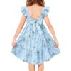 Arshiner Toddler Dress Little Girls Summer Cotton Backless High Low Hem Beach Casual Sundress with Pockets(Blue Floral)