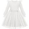 Arshiner Toddler Girls Tulle Dresses with Bow Tie Fall Winter Long Sleeve Formal Party Dress 1-7 Y(White Heart)