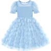 Arshiner Toddler Girls Tulle Summer Puff Sleeve Baby Girls Tutu Princess Party Casual Dress 2-6Y(Blue Flower)