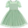 Arshiner Toddler Girls Tulle Summer Puff Sleeve Baby Girls Tutu Princess Party Casual Dress 2-6Y(Light Green)