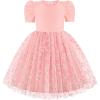 Arshiner Toddler Girls Tutu Dresses Party Formal Birthday Summer Puff Short Sleeve Tulle Little Girls Dress(Pink Daisy)