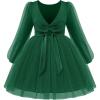 Arshiner Toddler Girls V Back Tutu Dress Tulle Puff Long Sleeve Wedding Birthday Party Fall Toddlers Dresses(Dark Green)