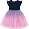 Arshiner Toddler Lace Tutu Dresses Ruffle Sleeve 3 Layers Tulle Flower Wedding Birthday Summer Little Girls Dress(Blue Pink Gradient)