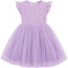 Arshiner Toddler Lace Tutu Dresses Ruffle Sleeve 3 Layers Tulle Flower Wedding Birthday Summer Little Girls Dress(Lavender)
