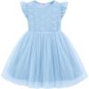 Arshiner Toddler Lace Tutu Dresses Ruffle Sleeve 3 Layers Tulle Flower Wedding Birthday Summer Little Girls Dress(Light Blue)