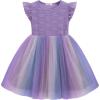 Arshiner Toddler Lace Tutu Dresses Ruffle Sleeve 3 Layers Tulle Flower Wedding Birthday Summer Little Girls Dress(Purple Rainbow)