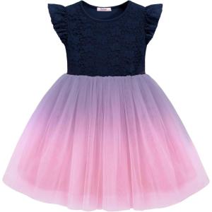Arshiner Toddler Lace Tutu Dresses Ruffle Sleeve 3 Layers Tulle Flower Wedding Birthday Summer Little Girls Dress(Blue Pink Gradient)