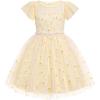 Arshiner Little Girl Dresses Contrast Mesh Ruffle Sleeve Birthday Holiday Princess Toddler Tulle Dress for 2-7 Years Old(Plaid Yellow)