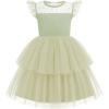Arshiner Toddler Girls Tutu Sundress Ruffle Sleeve Double Fluffy Tiered Tulle Summer Dresses for Kids 2-8Y(Light Green)