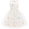 Arshiner Toddler Sleeveless Formal Dress Fancy Cute Tulle Glitter Party Holiday Kids Dresses(Stardust)