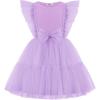 Arshiner Toddler Tutu Dress Girls Tulle Ruffle Bowknot Dresses Summer Wedding Birthday Party Formal Princess Dress 2-6T(Purple)