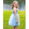 Arshiner Toddler Tutu Dress Girls Sleeveless Birthday Party Dresses Cute Princess Tulle Sundress for Kids 2-6Y(Light Blue)