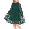 Arshiner Girls Dress Long Sleeve Swiss Dot Ruffle Collar Flowy A-Line Party Dress for Kids 5-13Y(Dark Green)
