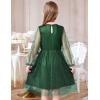 Arshiner Girls Mesh Dress Long Sleeve Tulle Sparkle Glitter Polka Dot Party Holiday Dresses Kids Clothes(Bright Green)