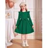 Arshiner Toddler Girl Dress Ruffle Ribbed Knit Long Sleeve A-Line Swing Fall Winter Bowknot Casual Dress with Pockets(Dark Green)