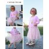 Arshiner Toddler Long Sleeve Dress Patchwork Tulle Tutu Girls Birthday Party Dresses Fall Clothes Size 2-6(Pastel Pink – Daisy Tulle)