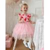 Arshiner Toddler Tutu Dress Little Girls Irregular Tulle Princess Birthday Party Formal Dresses(Pink Red Heart)