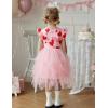 Arshiner Toddler Tutu Dress Little Girls Irregular Tulle Princess Birthday Party Formal Dresses(Pink Red Heart)