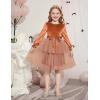 Arshiner Girls Velvet Tutu Dress Toddler Puff Long Sleeve Tiered Tulle Fall Winter Party Dresses with Ribbon(Brown Sequin)