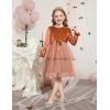 Arshiner Girls Velvet Tutu Dress Toddler Puff Long Sleeve Tiered Tulle Fall Winter Party Dresses with Ribbon(Brown Sequin)