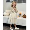Arshiner Girls Velvet Tutu Dress Toddler Puff Long Sleeve Tiered Tulle Fall Winter Party Dresses with Ribbon(Champagne)