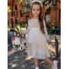 Arshiner Girls Velvet Tutu Dress Toddler Puff Long Sleeve Tiered Tulle Fall Winter Party Dresses with Ribbon(Champagne)