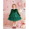 Arshiner Girls Velvet Tutu Dress Toddler Puff Long Sleeve Tiered Tulle Fall Winter Party Dresses with Ribbon(Dark Green)