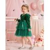 Arshiner Girls Velvet Tutu Dress Toddler Puff Long Sleeve Tiered Tulle Fall Winter Party Dresses with Ribbon(Dark Green)