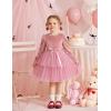 Arshiner Girls Velvet Tutu Dress Toddler Puff Long Sleeve Tiered Tulle Fall Winter Party Dresses with Ribbon(Pink)