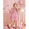 Arshiner Girls Velvet Tutu Dress Toddler Puff Long Sleeve Tiered Tulle Fall Winter Party Dresses with Ribbon(Pink)
