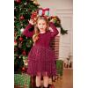 Arshiner Toddler Dress Baby Girls Tutu Tiered Formal Party Sequin Tulle Dresses Fall Winter Clothes for 1-6 Years(Dark Red)