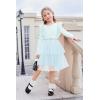 Arshiner Toddler Dress Baby Girls Tutu Tiered Formal Party Sequin Tulle Dresses Fall Winter Clothes for 1-6 Years(Light Blue)