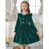 Arshiner Toddler Girls Long Sleeve Velvet Dress Ruffled Crew Neck Midi A-Line Fall Vintage Dress with Pockets for Kids 2-8Y(Green)