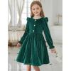 Arshiner Toddler Girls Long Sleeve Velvet Dress Ruffled Crew Neck Midi A-Line Fall Vintage Dress with Pockets for Kids 2-8Y(Green)