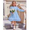 Arshiner Toddler Tutu Dress Girls Puff Long Sleeve Fall Winter Formal Party Tulle Dresses 3-8Y(Light Blue)