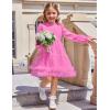 Arshiner Toddler Tutu Dress Girls Puff Long Sleeve Fall Winter Formal Party Tulle Dresses 3-8Y(Peach Pink)