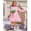 Arshiner Toddler Tutu Dress Girls Puff Long Sleeve Fall Winter Formal Party Tulle Dresses 3-8Y(Pink)