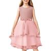 Arshiner Girls Dress Formal Party Fluffy Tulle Sleeveless Belted Dresses Size 3-11Y(Pink)