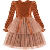 Arshiner Girls Velvet Tutu Dress Toddler Puff Long Sleeve Tiered Tulle Fall Winter Party Dresses with Ribbon(Brown Sequin)