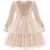 Arshiner Girls Velvet Tutu Dress Toddler Puff Long Sleeve Tiered Tulle Fall Winter Party Dresses with Ribbon(Champagne)