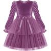 Arshiner Girls Velvet Tutu Dress Toddler Puff Long Sleeve Tiered Tulle Fall Winter Party Dresses with Ribbon(Fuchsia)