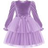 Arshiner Girls Velvet Tutu Dress Toddler Puff Long Sleeve Tiered Tulle Fall Winter Party Dresses with Ribbon(Purple)