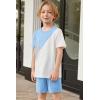 Arshiner Toddler Boy Summer Clothes Outfits Kids Colorblock Short Sleeve T-shirt Shorts Set 2-7 Years(Light Blue)