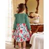 Arshiner Toddler Girls Dress Ruffle Long Sleeve Casual Tiered Swing Dresses with Pockets(Green Flower 1)