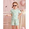 Arshiner Toddler Girls Clothes Ruffle Short Sleeves Crewneck Tops and Shorts with Pockets Cute Summer 2 Pieces Short Sets(Green Daisy)