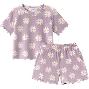 Arshiner Toddler Girls Clothes Ruffle Short Sleeves Crewneck Tops and Shorts with Pockets Cute Summer 2 Pieces Short Sets(Daisy Purple)